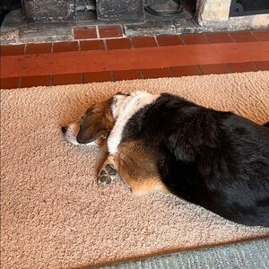 Meet your Posher, Joette